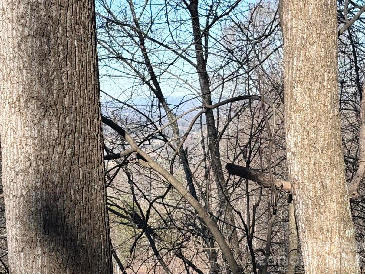 76 View Ridge Parkway, Unit 7 Leicester, NC 28748 - Photo 8 of 10