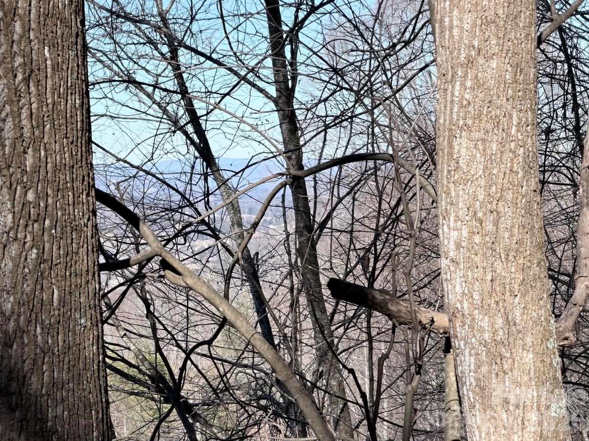 76 View Ridge Parkway, Unit 7 Leicester, NC 28748 - Photo 9 of 10