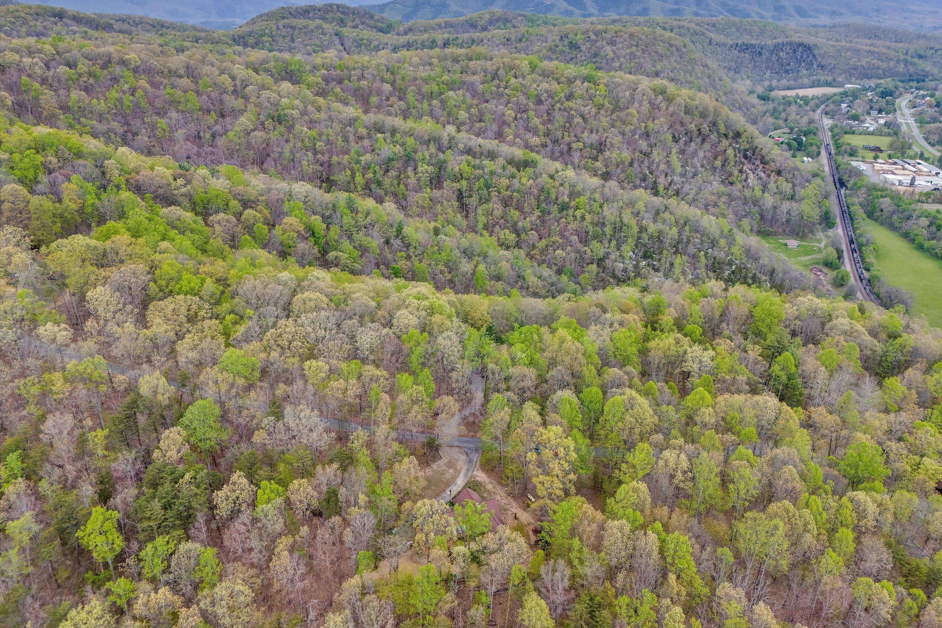 1285 Echo Hills Road Elliston, VA 24087 - Photo 37 of 47 34-DJI_20260413151402_0037