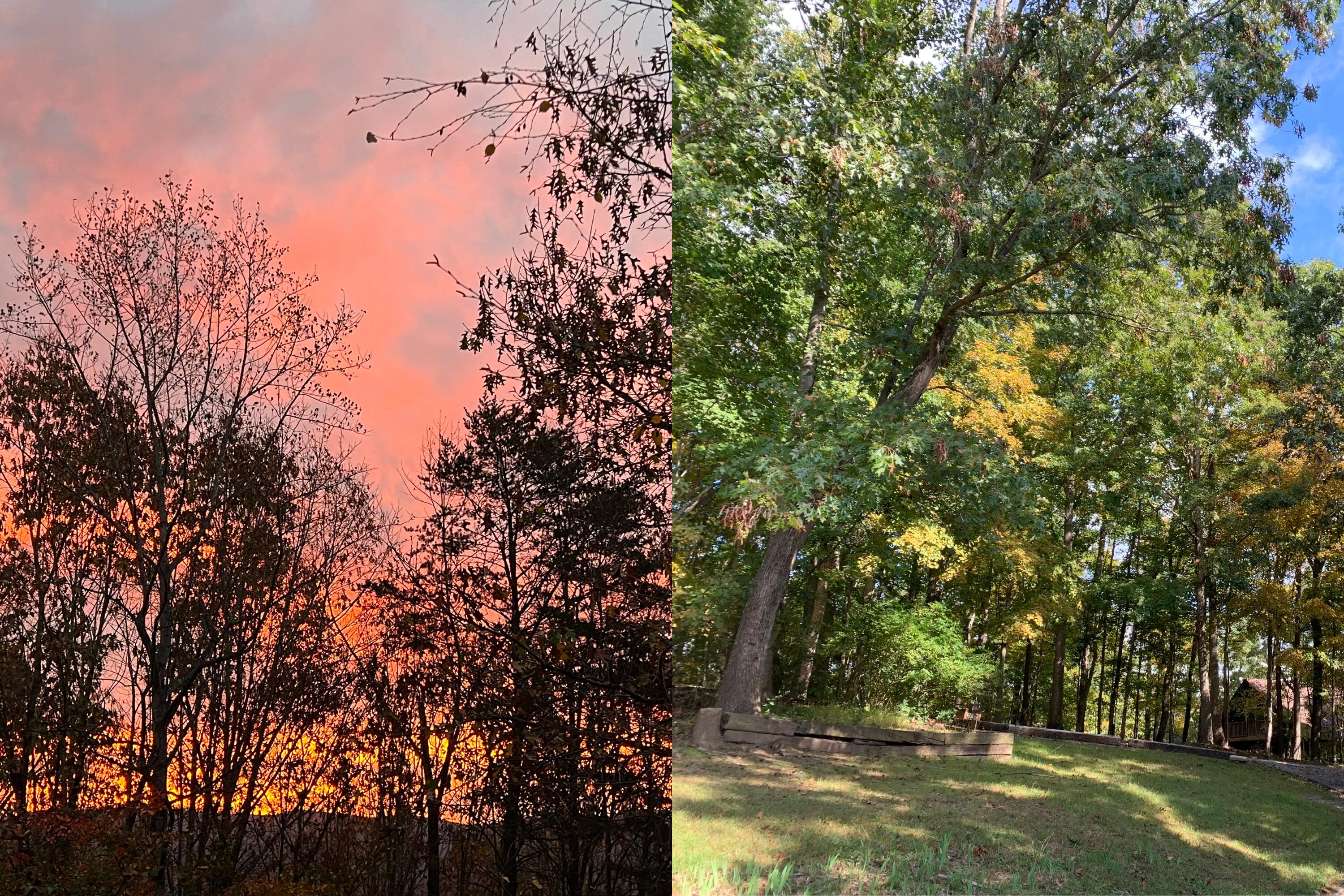 1285 Echo Hills Road Elliston, VA 24087 - Photo 45 of 47 1285EchoHillsLandscape2