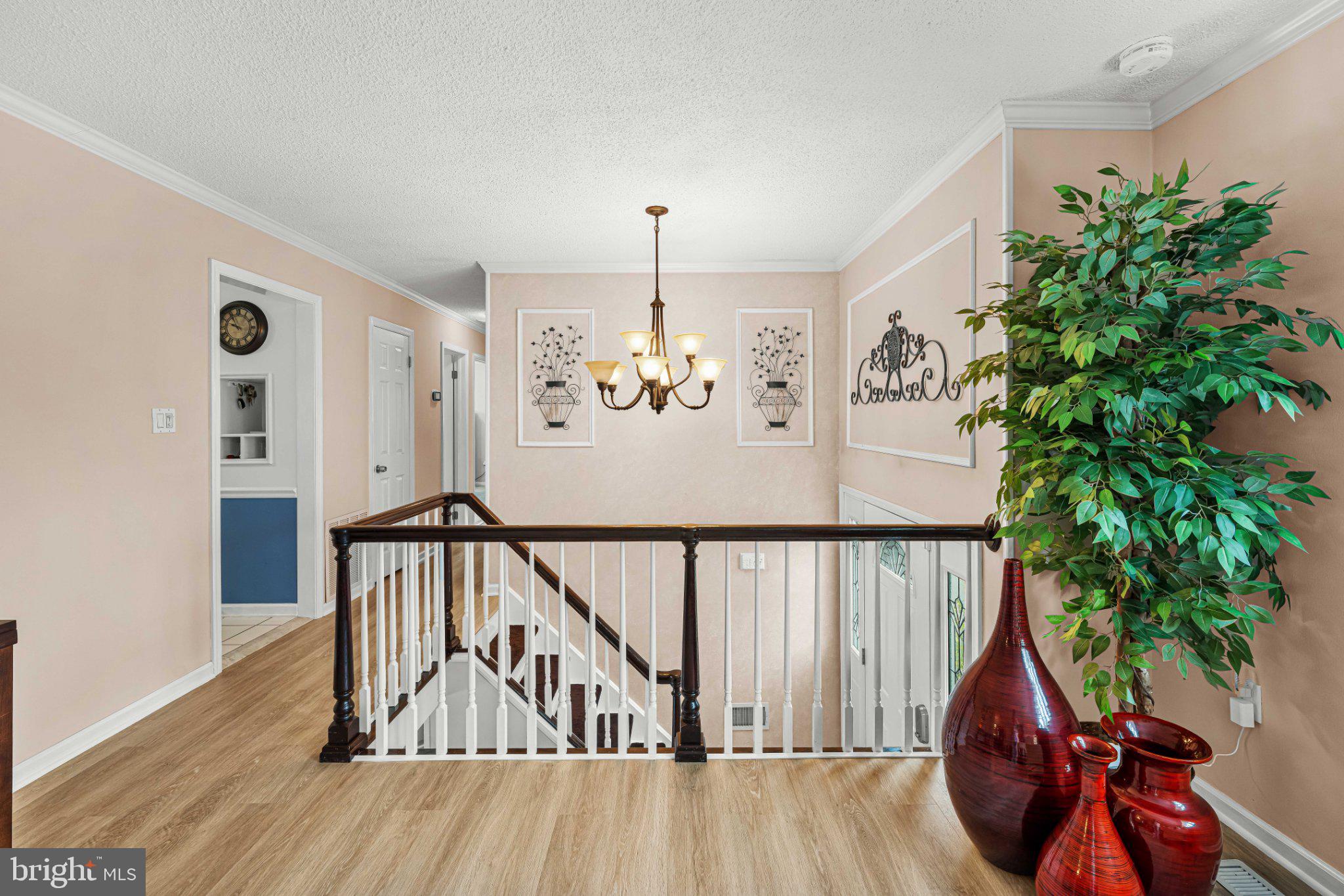 8 Dan Road Hamilton, NJ 08620 - Photo 7 of 49 Elegant foyer with warm accents.