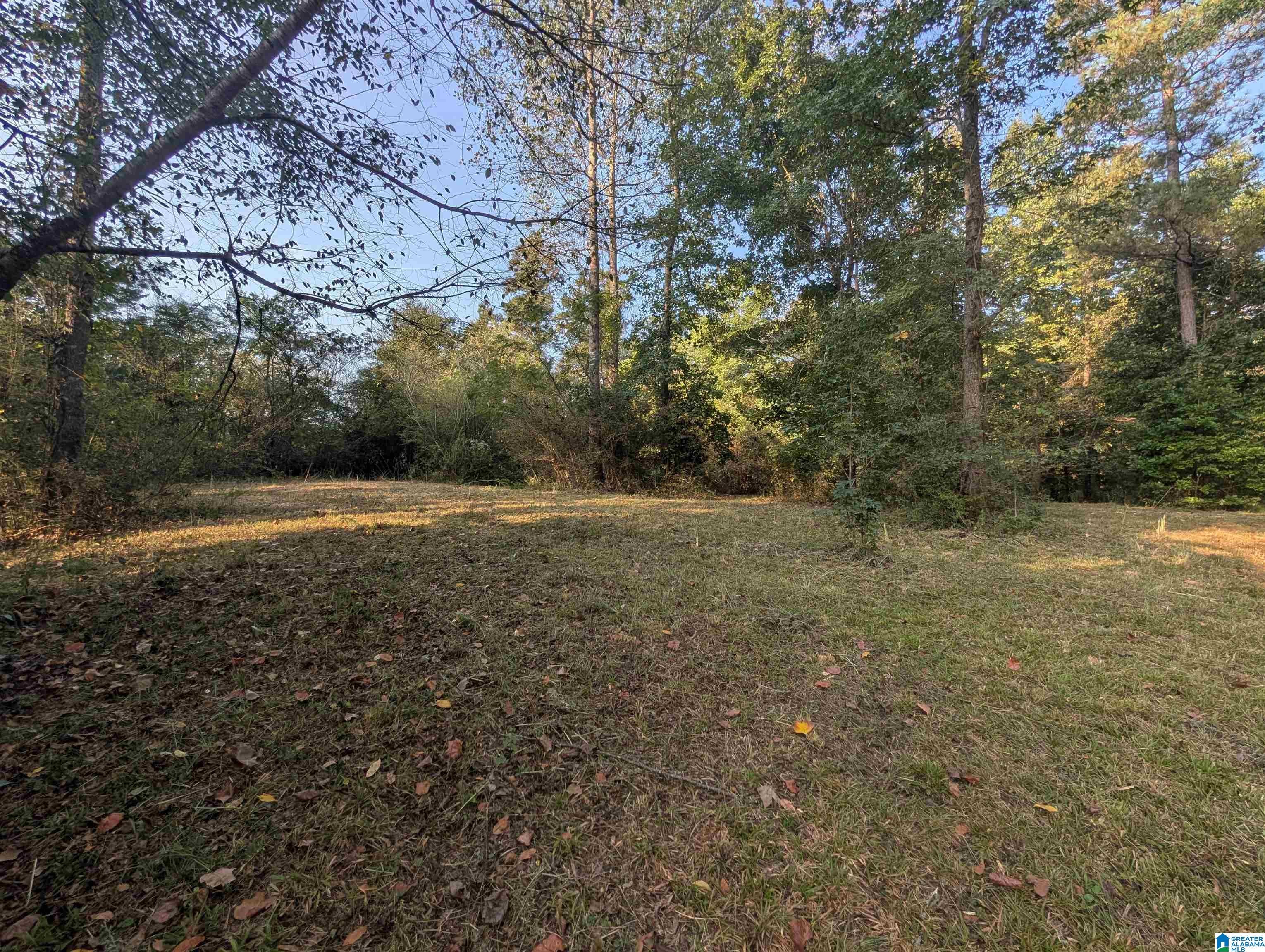591 McClain Road, Unit 2 Bessemer, AL 35023 - Photo 7 of 15 Gallery Image 7