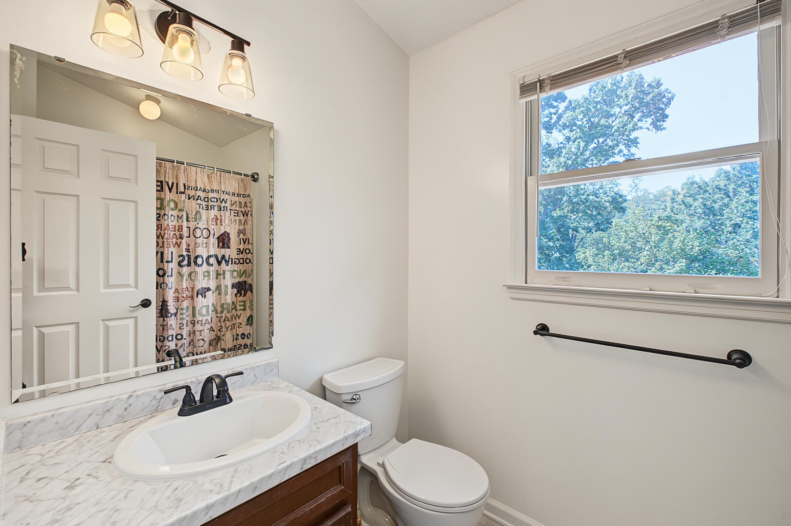 121 Oak Ridge Court Blue Ridge, VA 24064 - Photo 35 of 74 121 Oak Ridge Ct-44