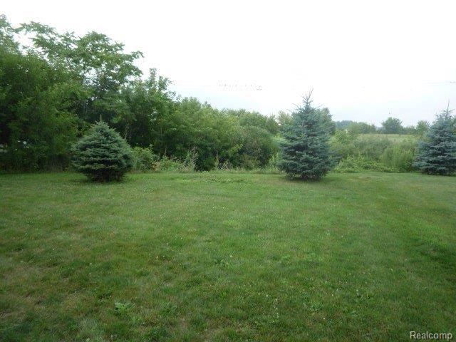 7887 Blue Bush Road Maybee, MI 48159 - Photo 9 of 9 Yard