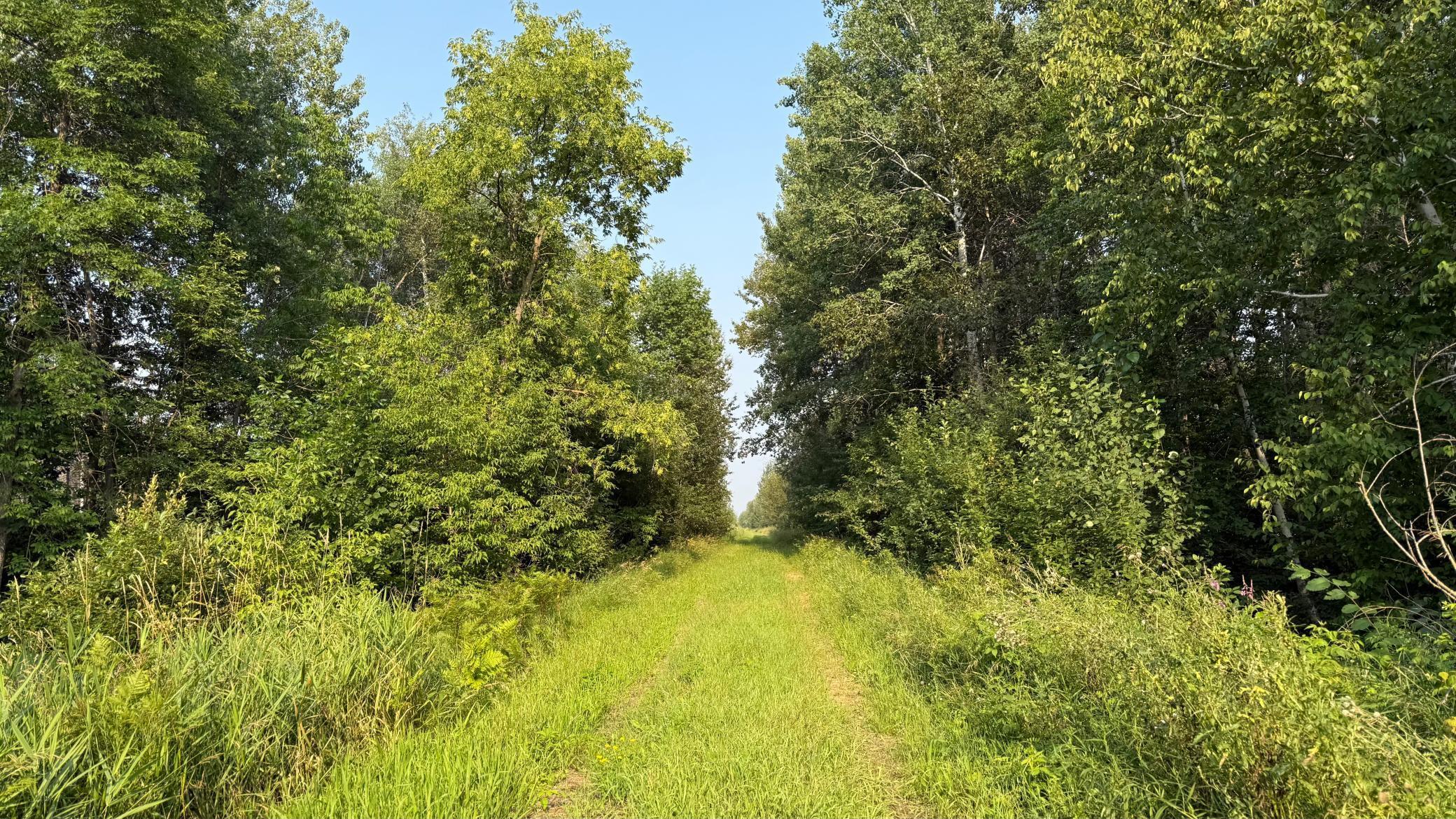 Tbd5 Sunflower Road Northeast Kelliher, MN 56650 - Photo 2 of 23