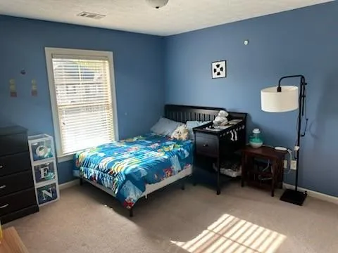 a bedroom with a bed and a tv