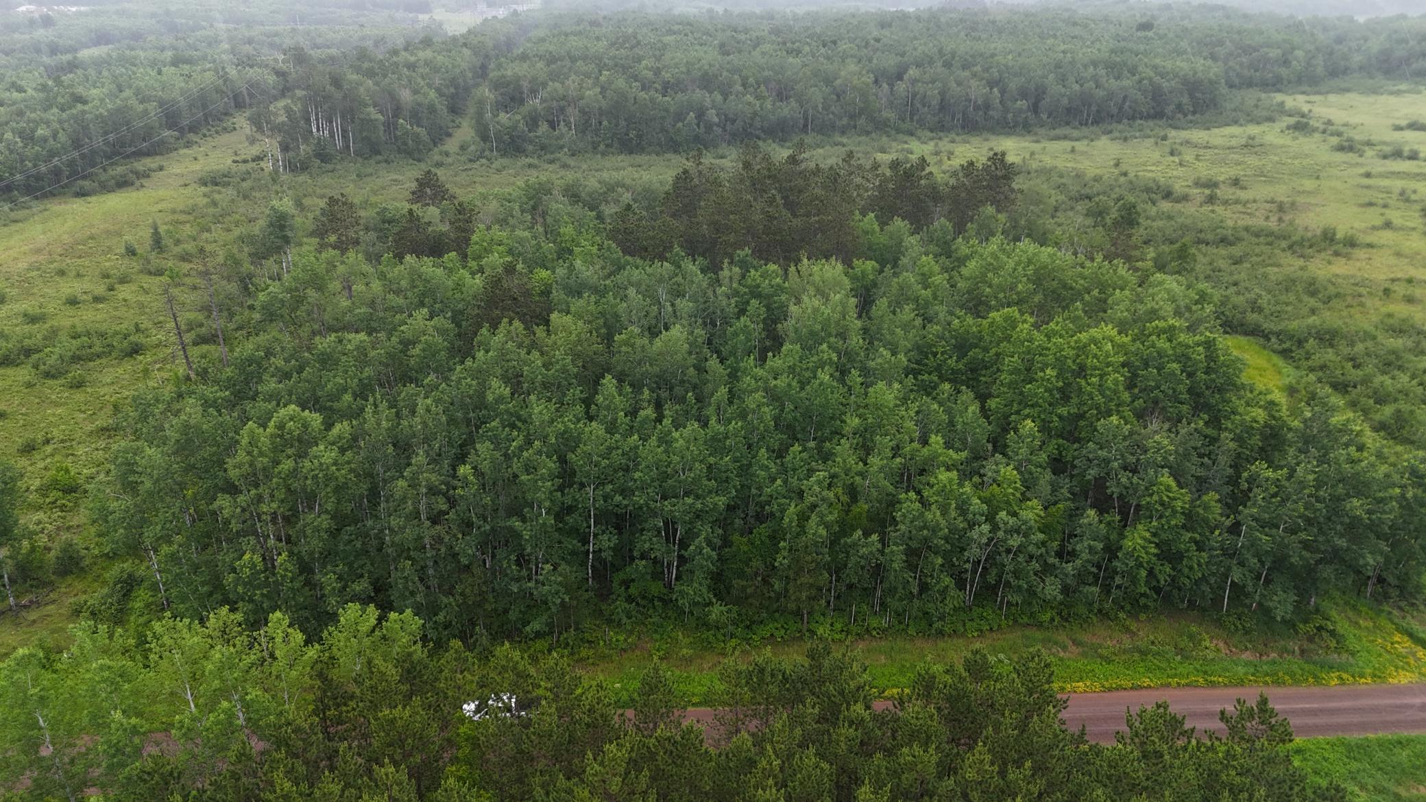 Tbd Klejeski Road Sandstone, MN 55072 - Photo 2 of 32