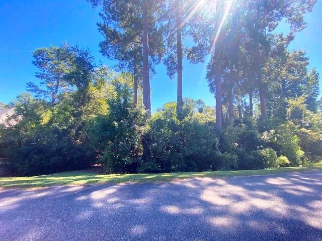 $32,500 | 0 Chapel Creek Drive, Santee, SC 29142