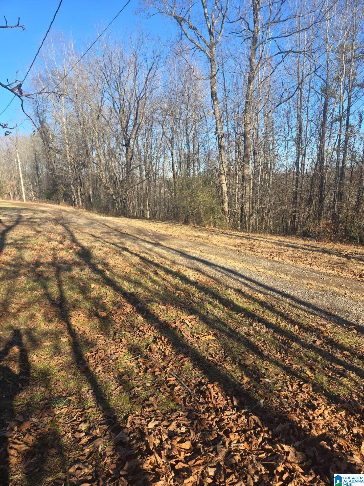 20093 Cairo Hollow Road Athens, AL 35614 - Photo 15 of 16
