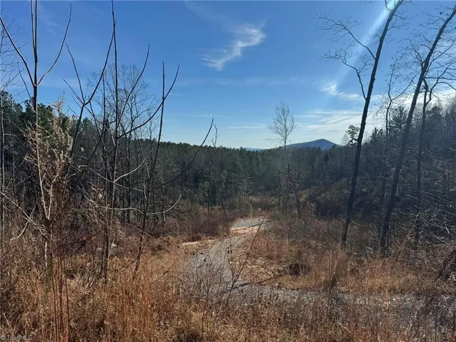 $59,900 | Tbd Old Railroad Grade Road, Thurmond, NC 28683