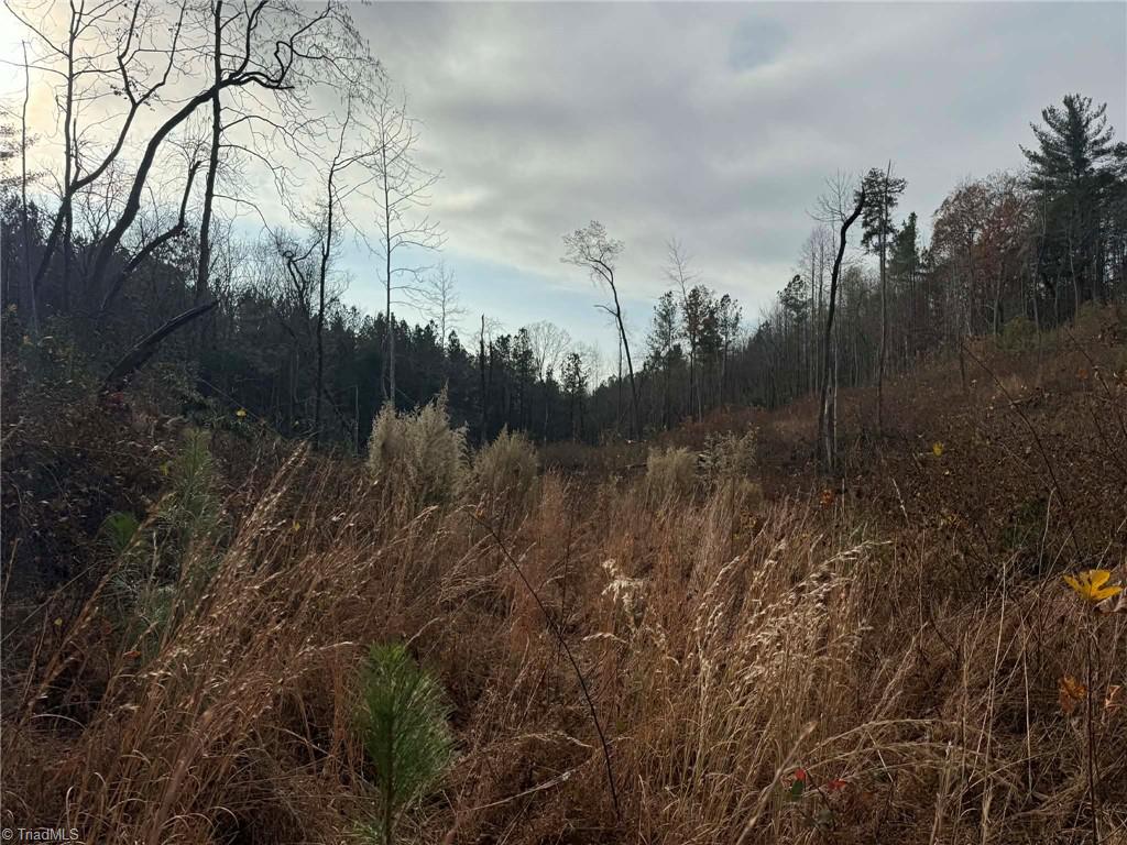Tbd Old Railroad Grade Road Thurmond, NC 28683 - Photo 14 of 26