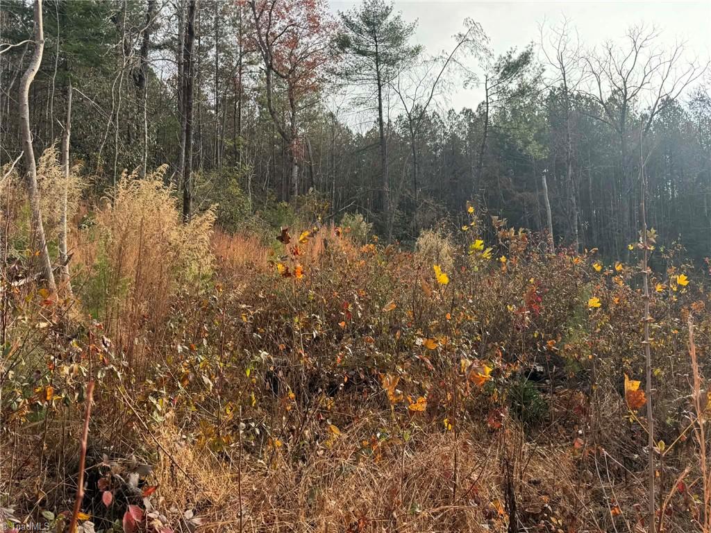 Tbd Old Railroad Grade Road Thurmond, NC 28683 - Photo 16 of 26