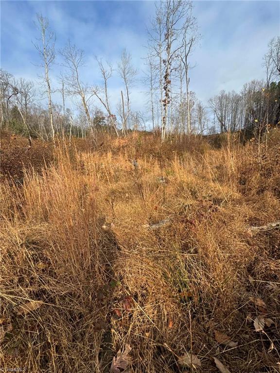 Tbd Old Railroad Grade Road Thurmond, NC 28683 - Photo 17 of 26