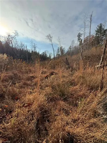 $59,900 | Tbd Old Railroad Grade Road, Thurmond, NC 28683