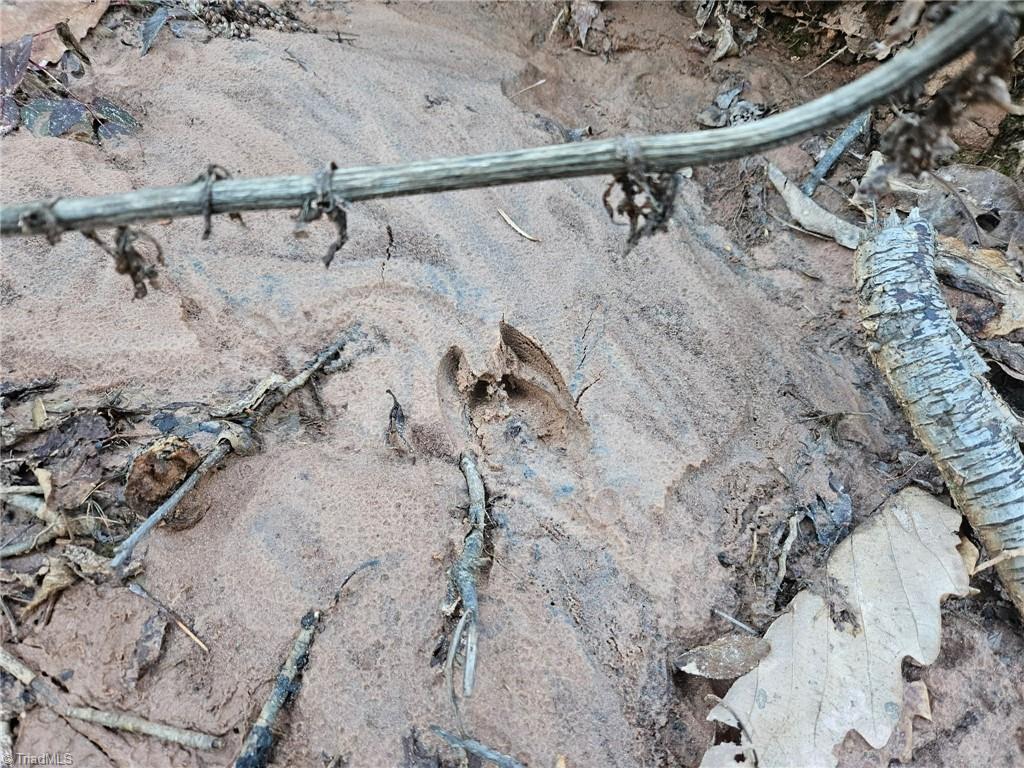 Tbd Old Railroad Grade Road Thurmond, NC 28683 - Photo 23 of 26