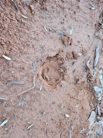 $59,900 | Tbd Old Railroad Grade Road, Thurmond, NC 28683