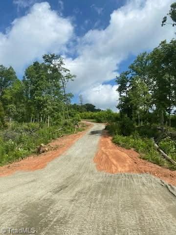 Tbd Old Railroad Grade Road Thurmond, NC 28683 - Photo 5 of 26