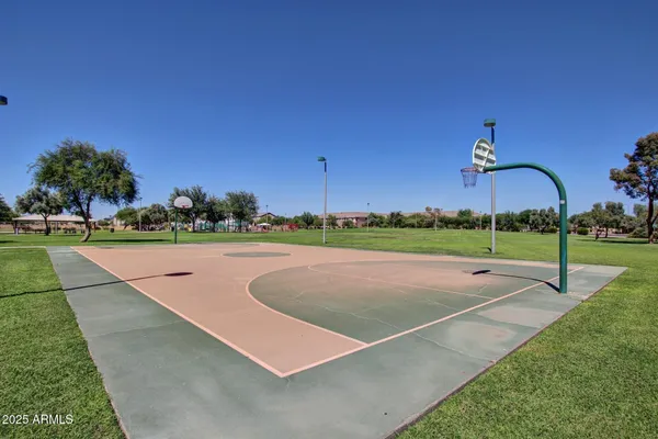a view of a park with large trees