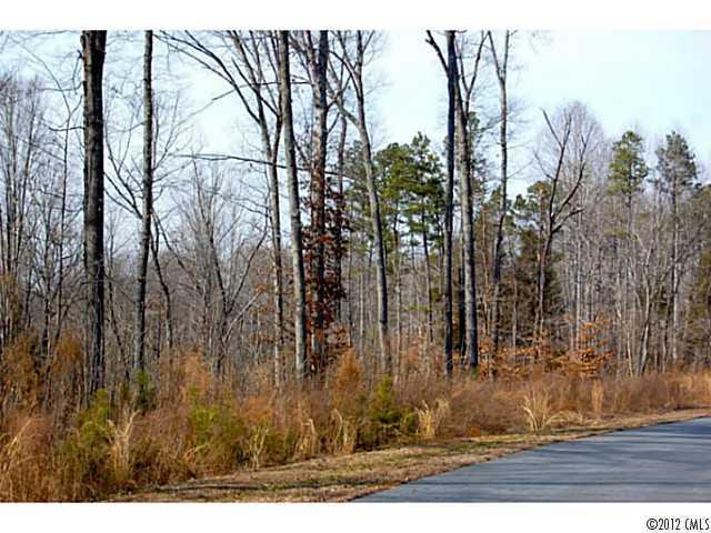 Lot 5 Walnut Ridge Drive Iron Station, NC 28080 - Photo 2 of 4
