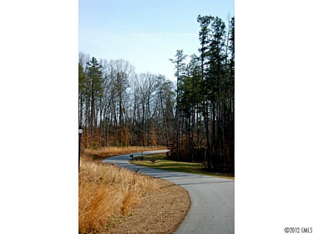 Lot 5 Walnut Ridge Drive Iron Station, NC 28080 - Photo 3 of 4