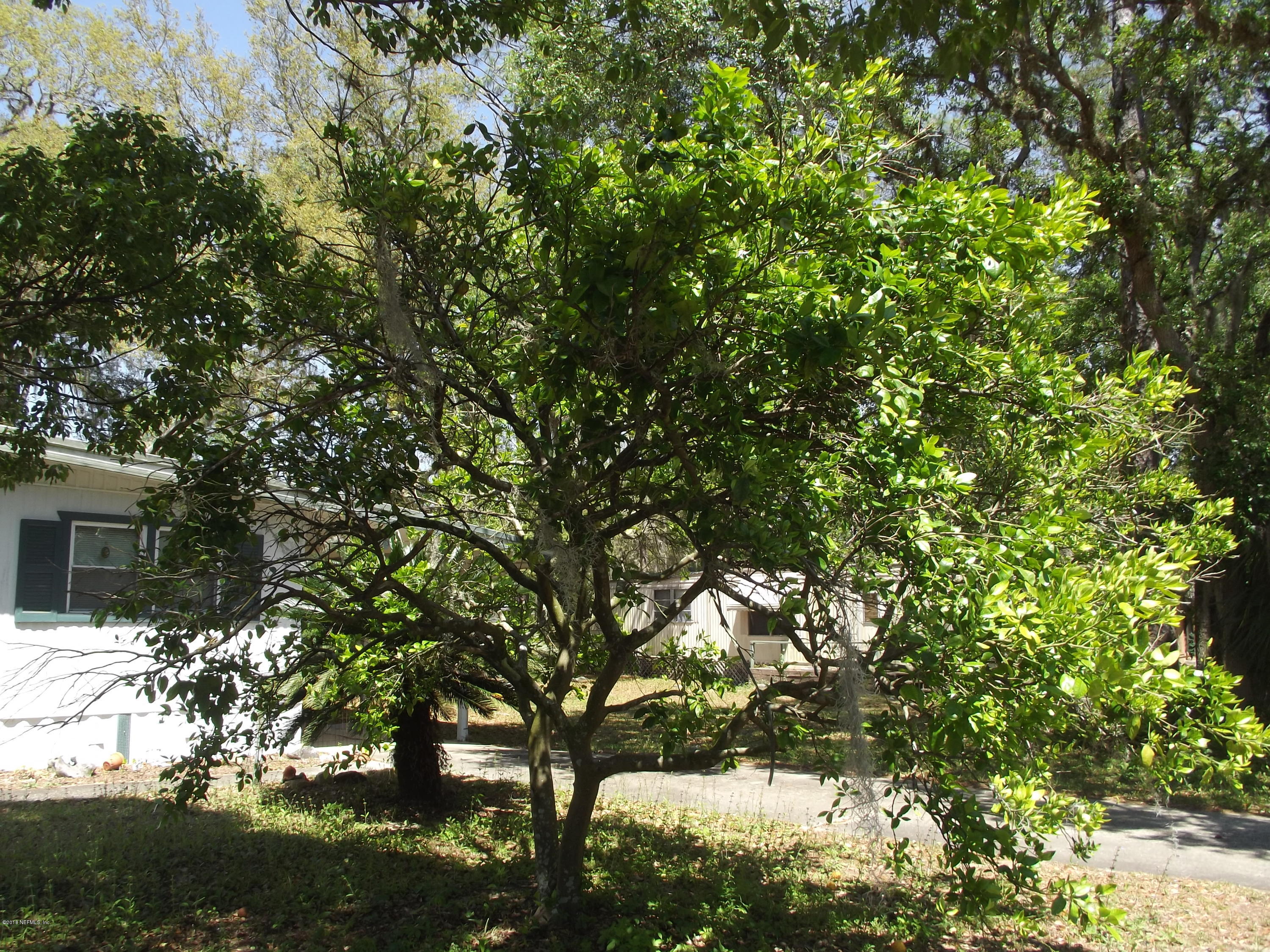 112 Tempest Street Interlachen, FL 32148 - Photo 3 of 26 DSCF6107