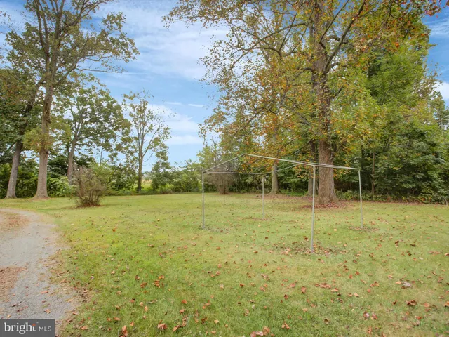 a view of a field with large trees