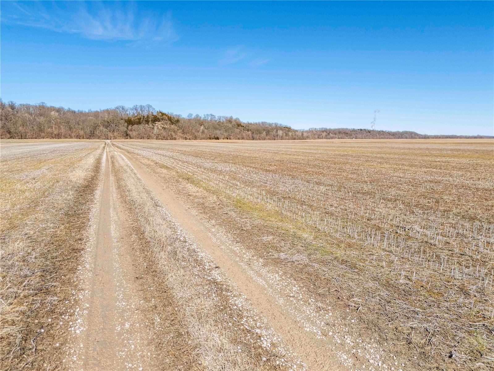 0 County Road 473 Mokane, MO 65059 - Photo 19 of 19