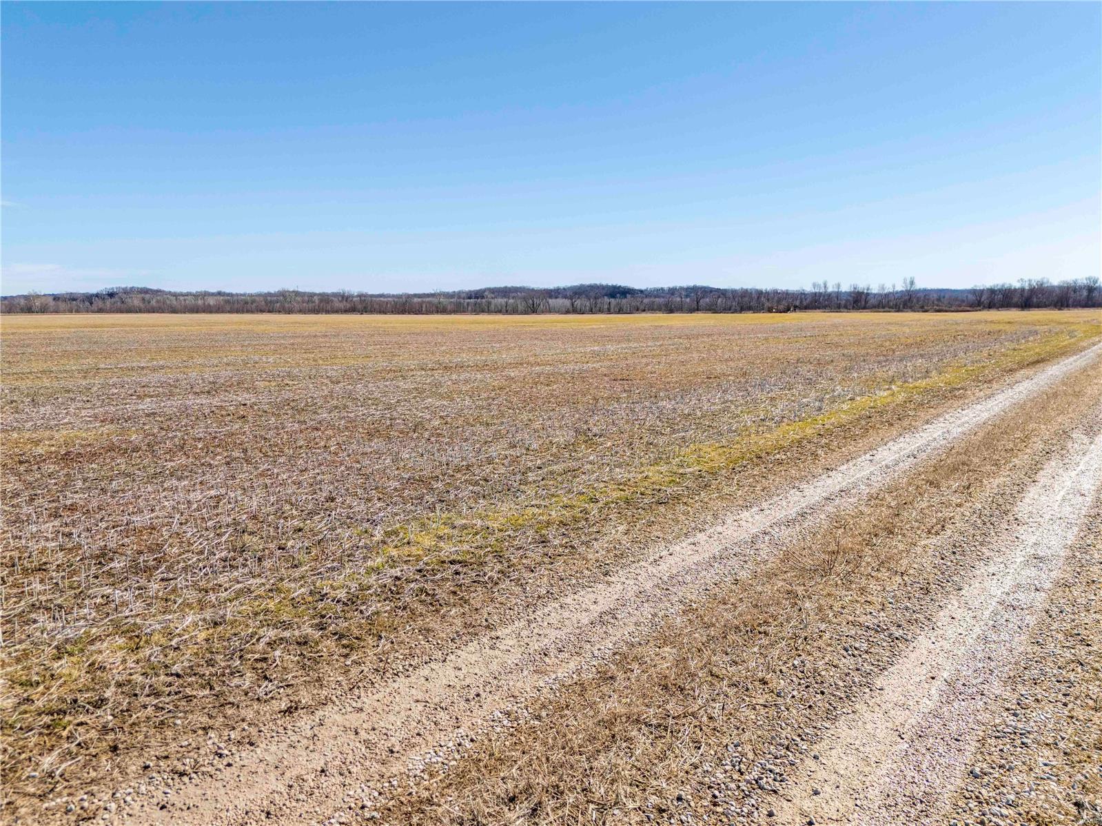 0 County Road 473 Mokane, MO 65059 - Photo 4 of 19