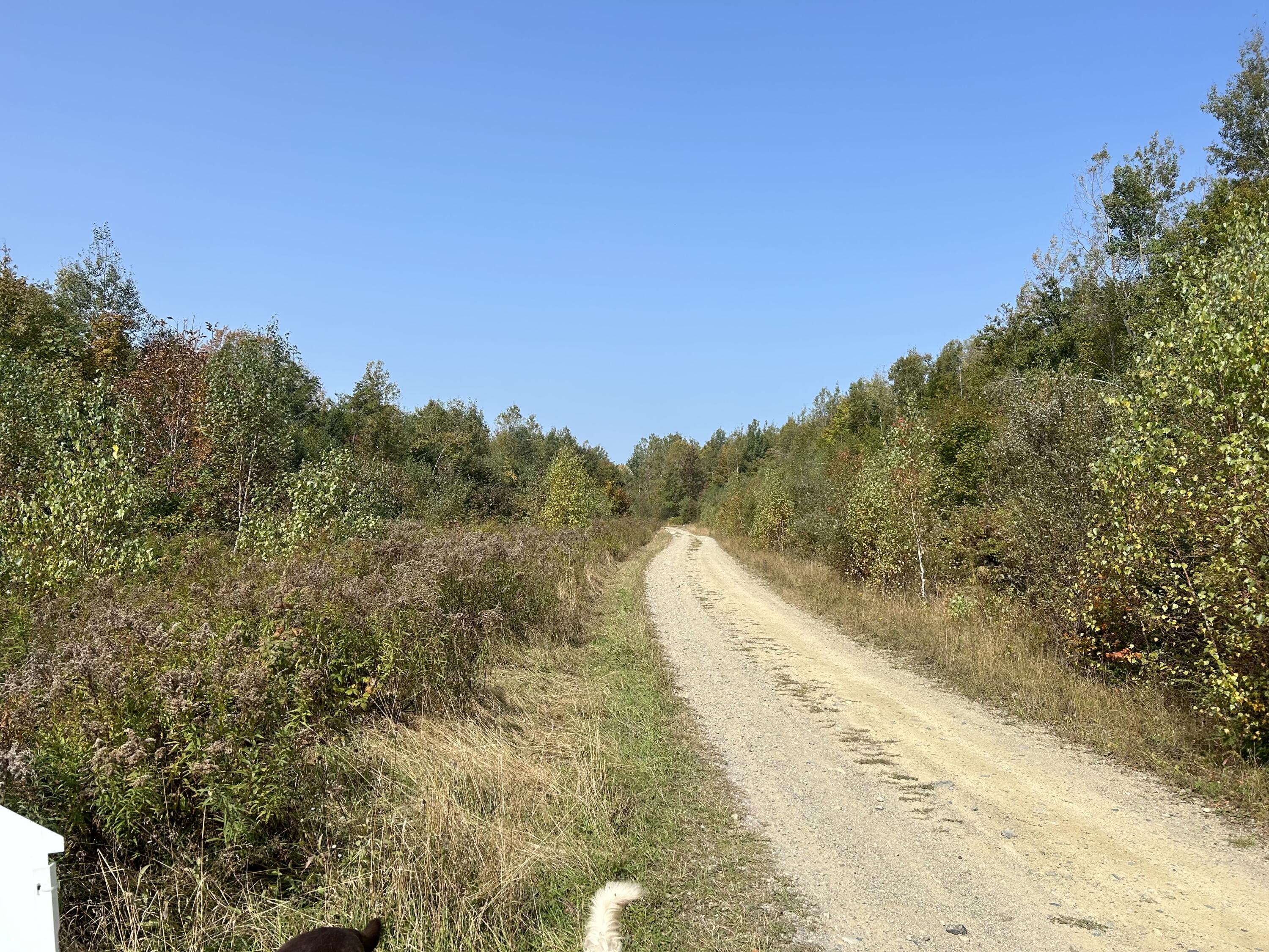 Off Dipper Pond Road Carroll Plt, ME 04487 - Photo 4 of 7 IMG-2700