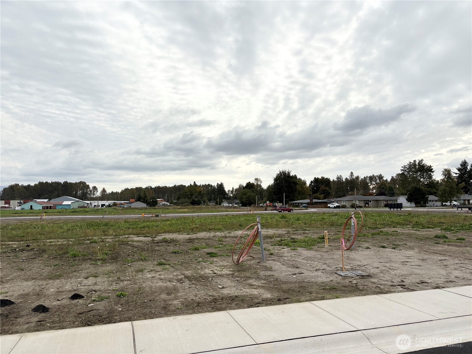 308 West 3rd Street Everson, WA 98276 - Photo 4 of 14 a view of park with trees
