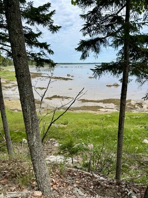 336 Rays Point Road Milbridge, ME 04658 - Photo 42 of 46