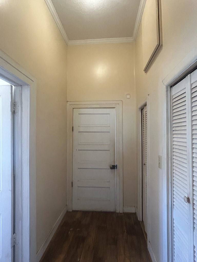 4717 State Line Road Cottonwood, AL 36320 - Photo 19 of 37