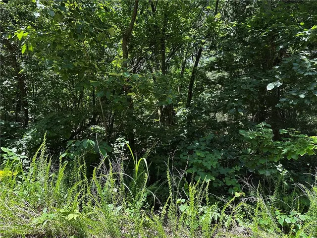 $379,900 | South 68th Rural Route, Dunnegan, MO 65640