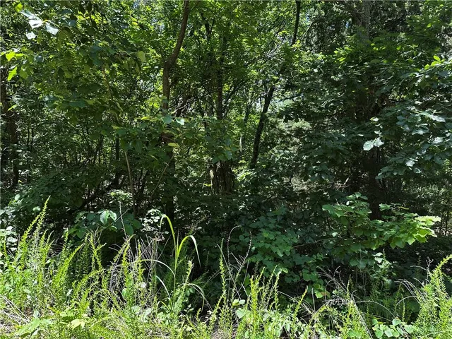 $379,900 | South 68th Rural Route, Dunnegan, MO 65640