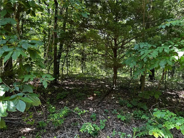 $379,900 | South 68th Rural Route, Dunnegan, MO 65640