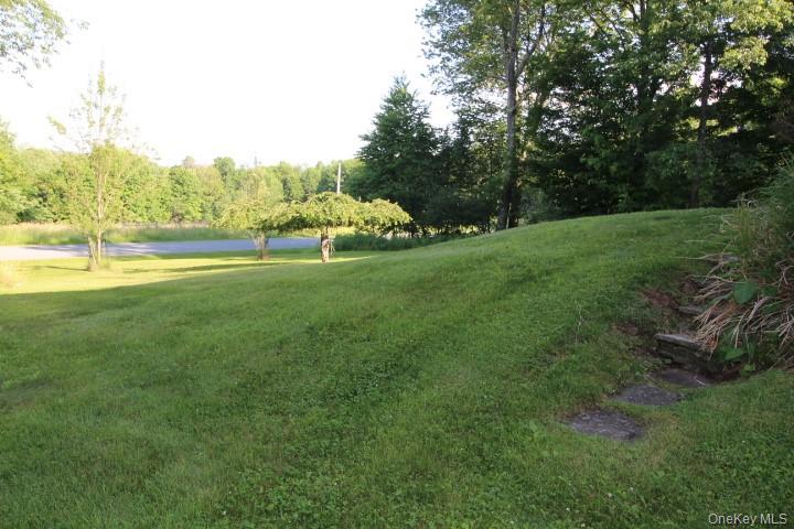 545 Stump Pond Road Livingston Manor, NY 12758 - Photo 8 of 40