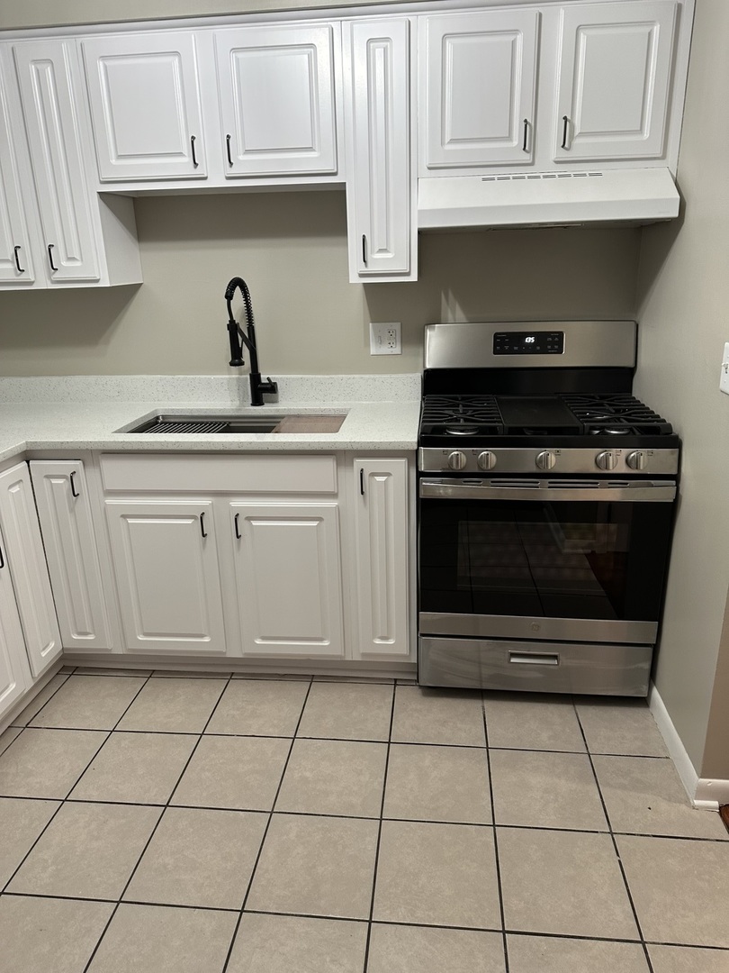 3330 Grove Avenue, Unit 1N Berwyn, IL 60402 - Photo 4 of 20 a kitchen with cabinets and appliances