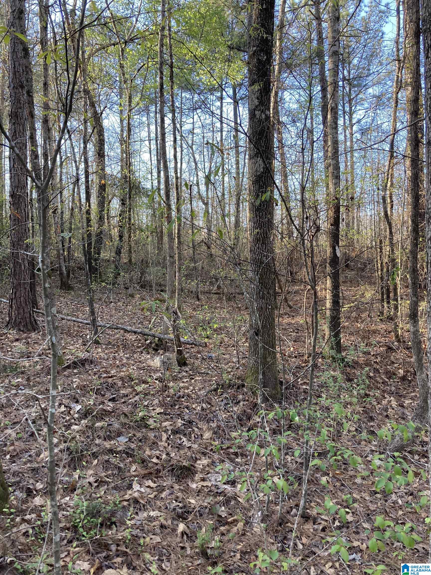 0 Jackson Trace Road, Unit 4 1 Talladega, AL 35160 - Photo 13 of 27