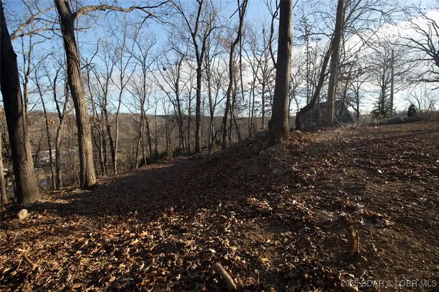 $21,000 | Lot 1287 Lakeshire Drive, Camdenton, MO 65020