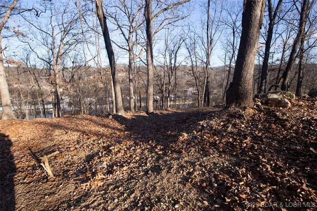 $21,000 | Lot 1287 Lakeshire Drive, Camdenton, MO 65020