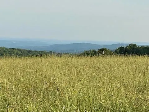 a view of a lake view
