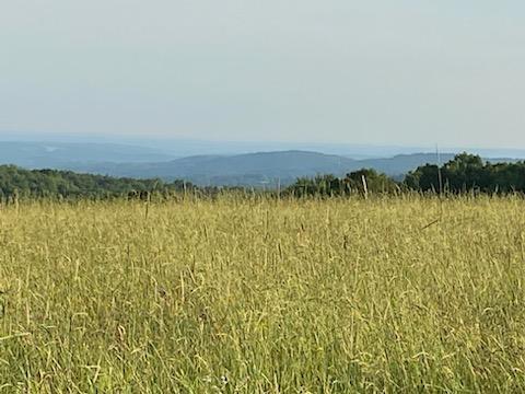 a view of a lake view