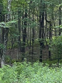 0 Stump Pond Road Callicoon Center, NY 12724 - Photo 11 of 17 a view of residential house with green space