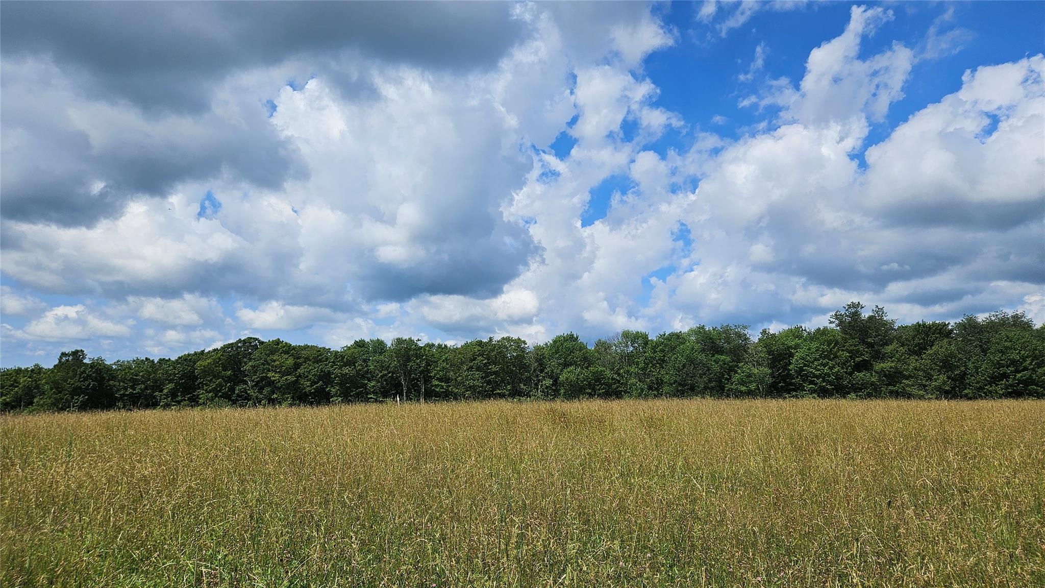 0 Stump Pond Road Callicoon Center, NY 12724 - Photo 14 of 17 a view of lake