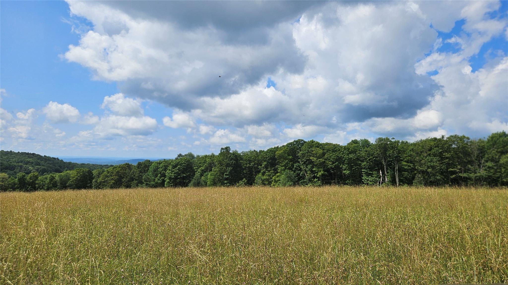 0 Stump Pond Road Callicoon Center, NY 12724 - Photo 17 of 17 a view of city and lake