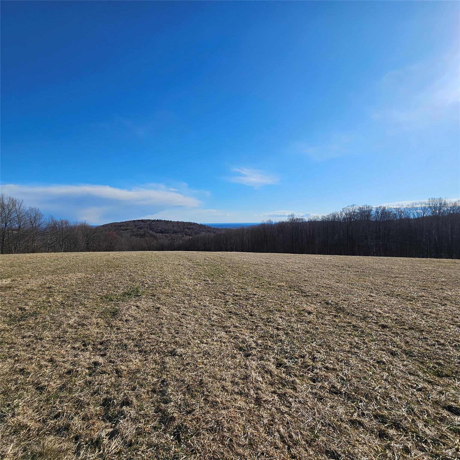 0 Stump Pond Road Callicoon Center, NY 12724 - Photo 4 of 17 a view of lake and sunset