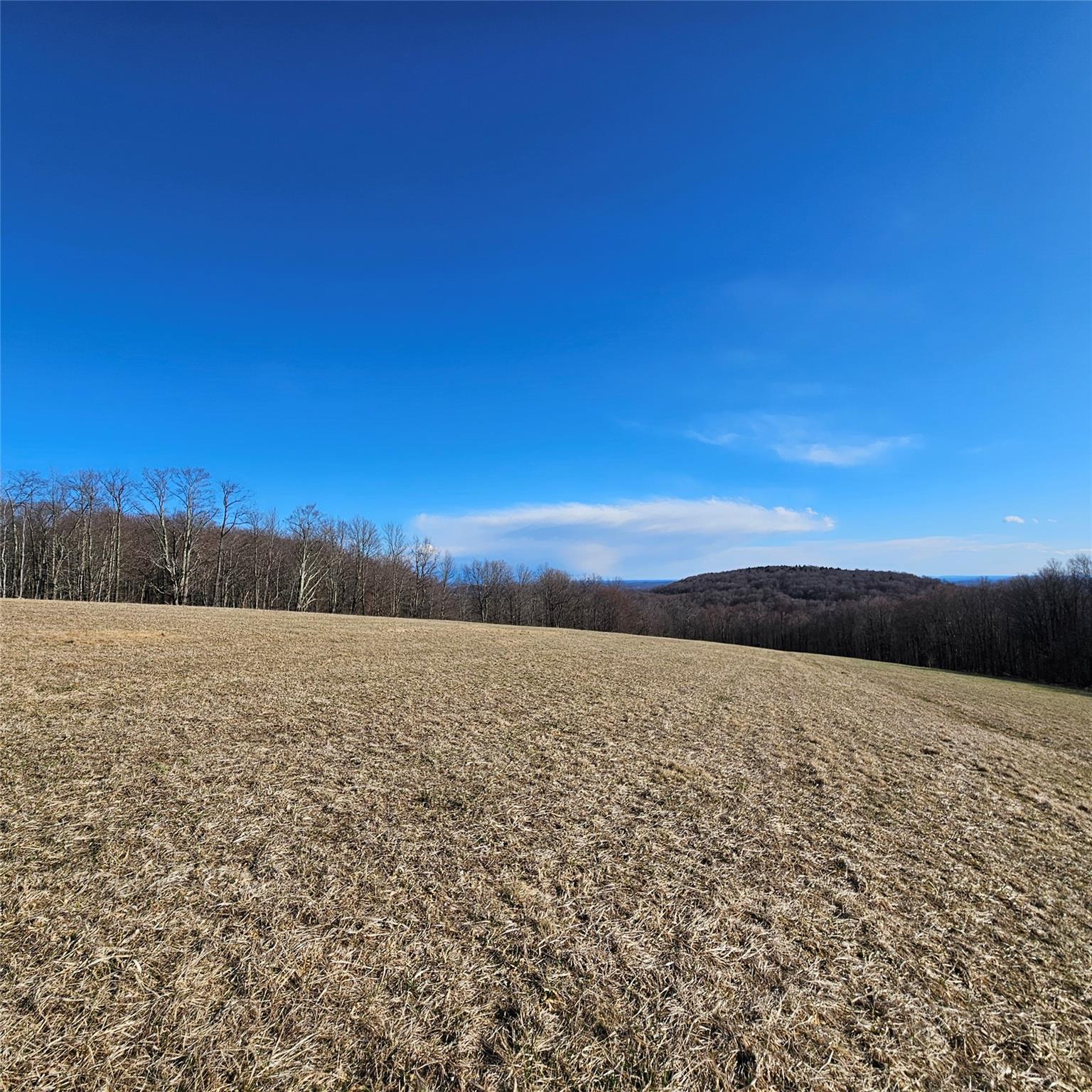 0 Stump Pond Road Callicoon Center, NY 12724 - Photo 5 of 17 a view of an lake and a mountain