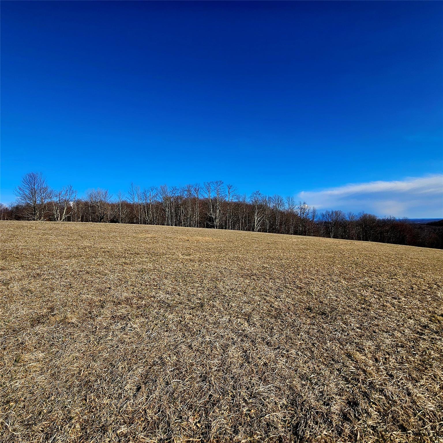 0 Stump Pond Road Callicoon Center, NY 12724 - Photo 7 of 17 a view of an ocean beach
