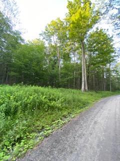 0 Stump Pond Road Callicoon Center, NY 12724 - Photo 10 of 17 a view of backyard with green space