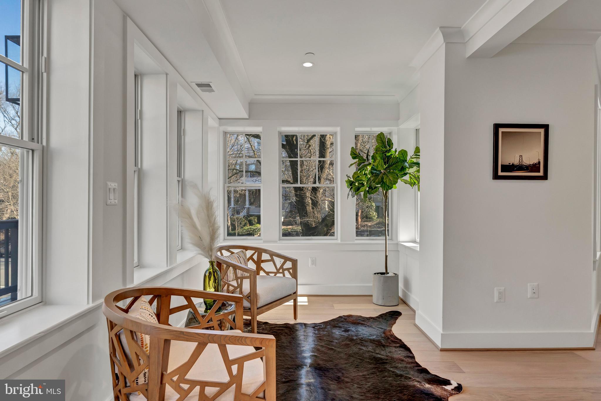 2001 Klingle Road Northwest Washington, DC 20010 - Photo 24 of 50 a living room with furniture and a potted plant